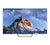 Skyworth SUE9500 65 inch UHD QLED Google Smart TV